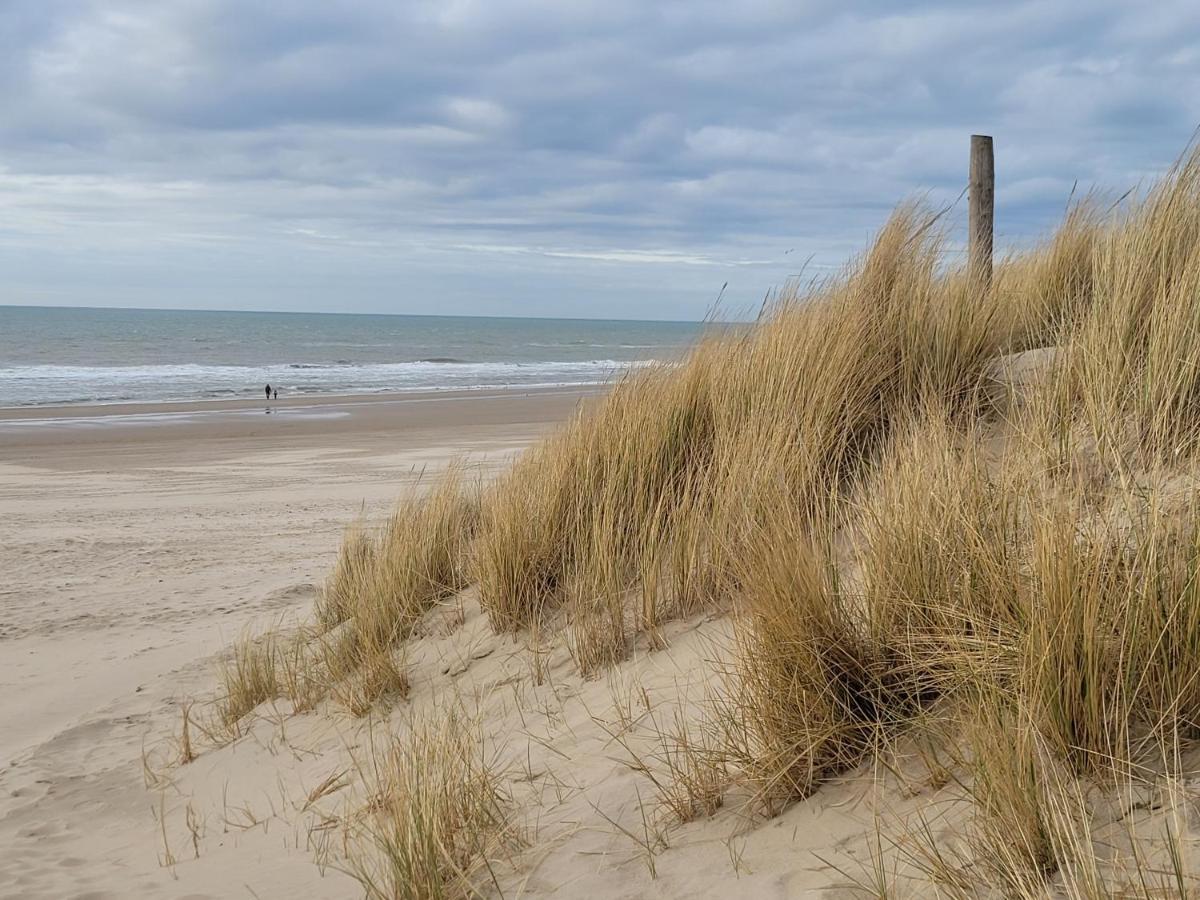 Tiny Villa De Haas Met Infraroodsauna Egmond aan Zee Kültér fotó