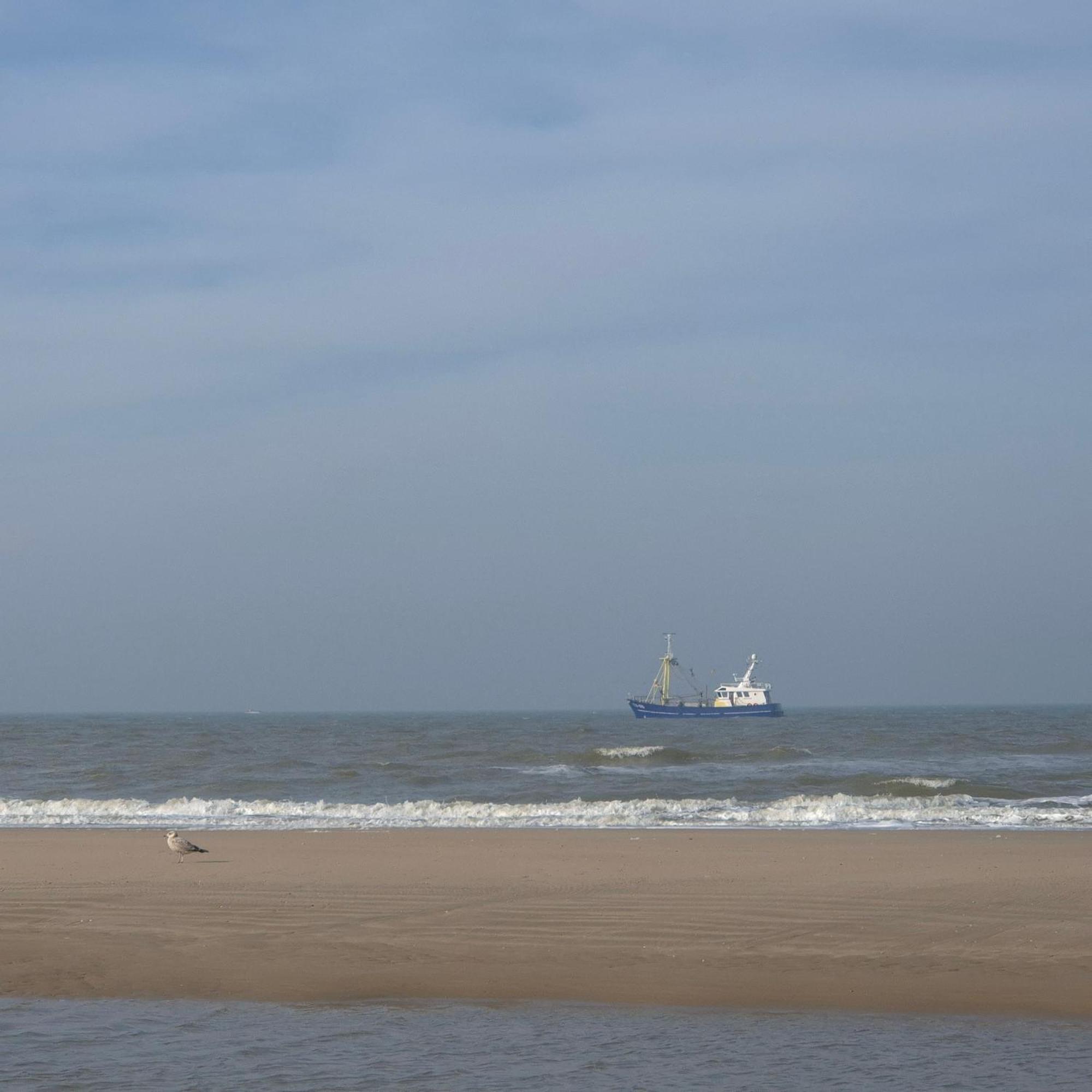 Tiny Villa De Haas Met Infraroodsauna Egmond aan Zee Kültér fotó
