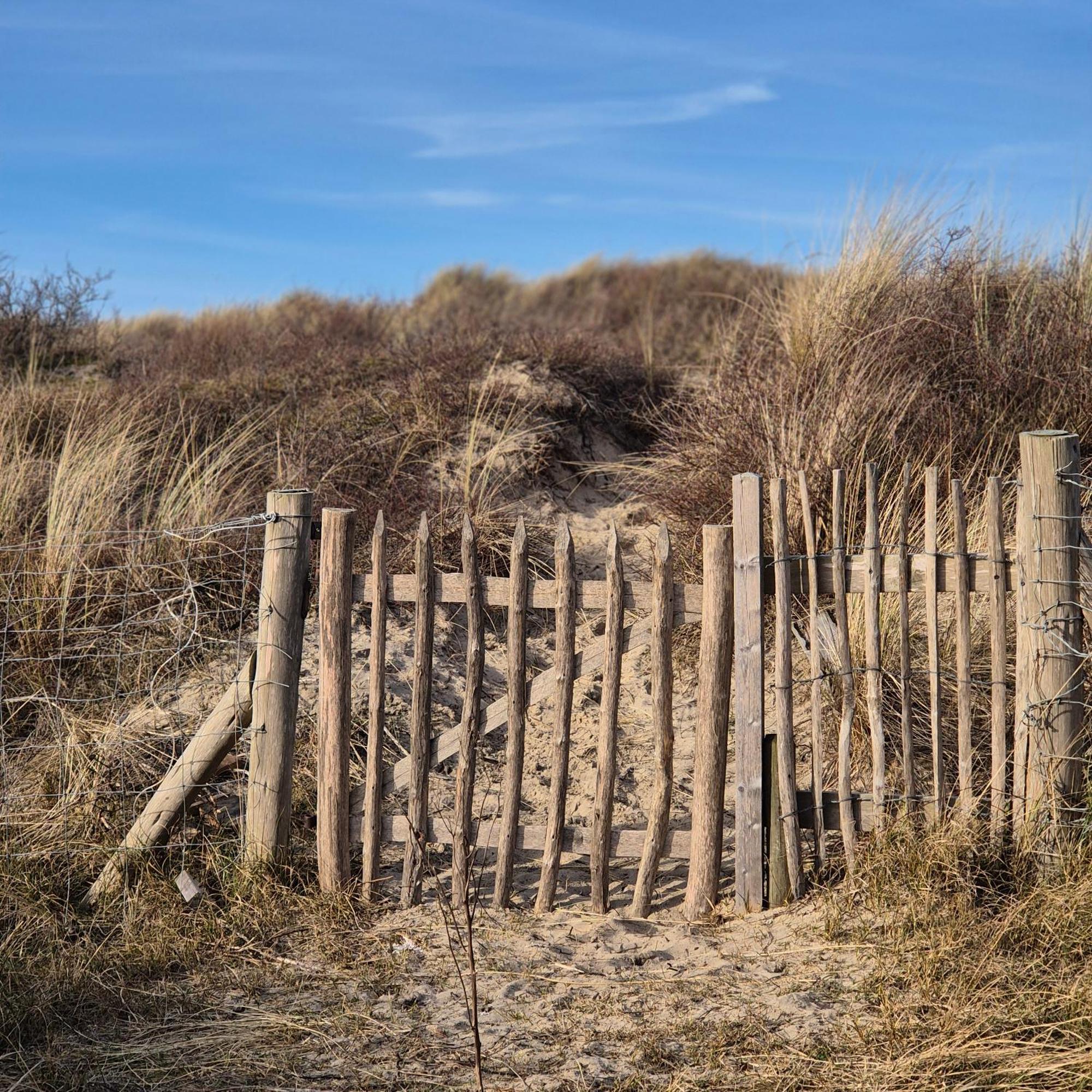 Tiny Villa De Haas Met Infraroodsauna Egmond aan Zee Kültér fotó